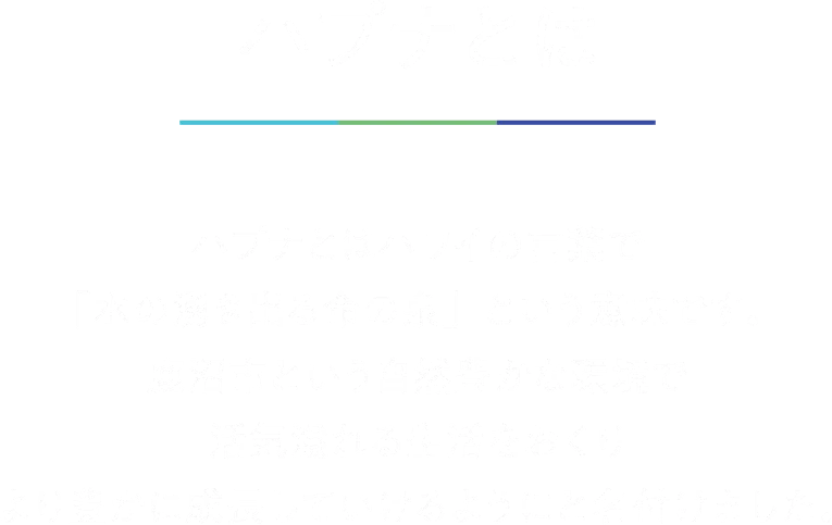 ハプナとは｜ハプナとはハワイの言葉で「水の湧き出る命の泉」という意味です。鹿沼市という自然豊かな環境で活気溢れる生活をおくりより豊かに成長していけるようにと名付けました。